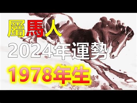 1978 馬 五行|1978馬年：2024運程預測